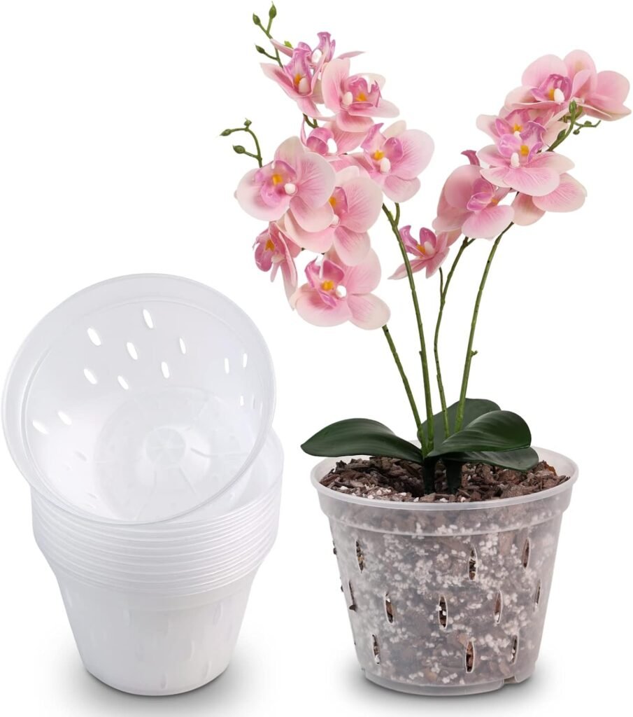 Best Pots for Orchids- Top 5 picks in 2025