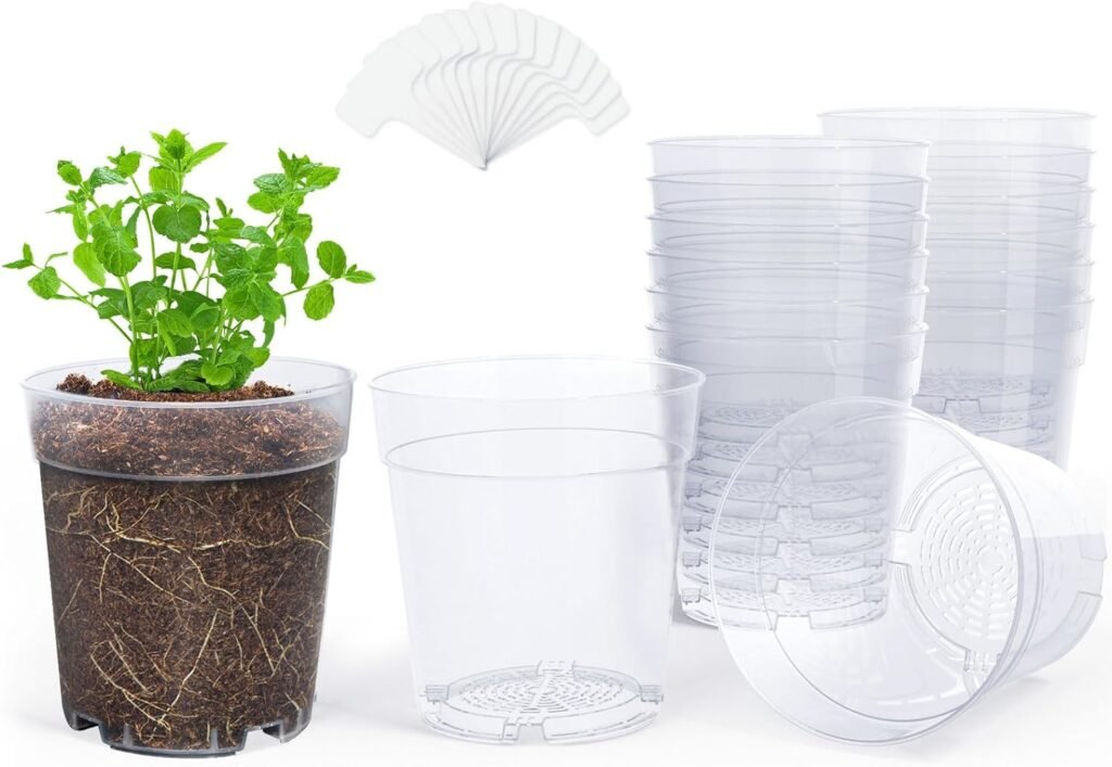 Best Pots for Orchids- Top 5 picks in 2025